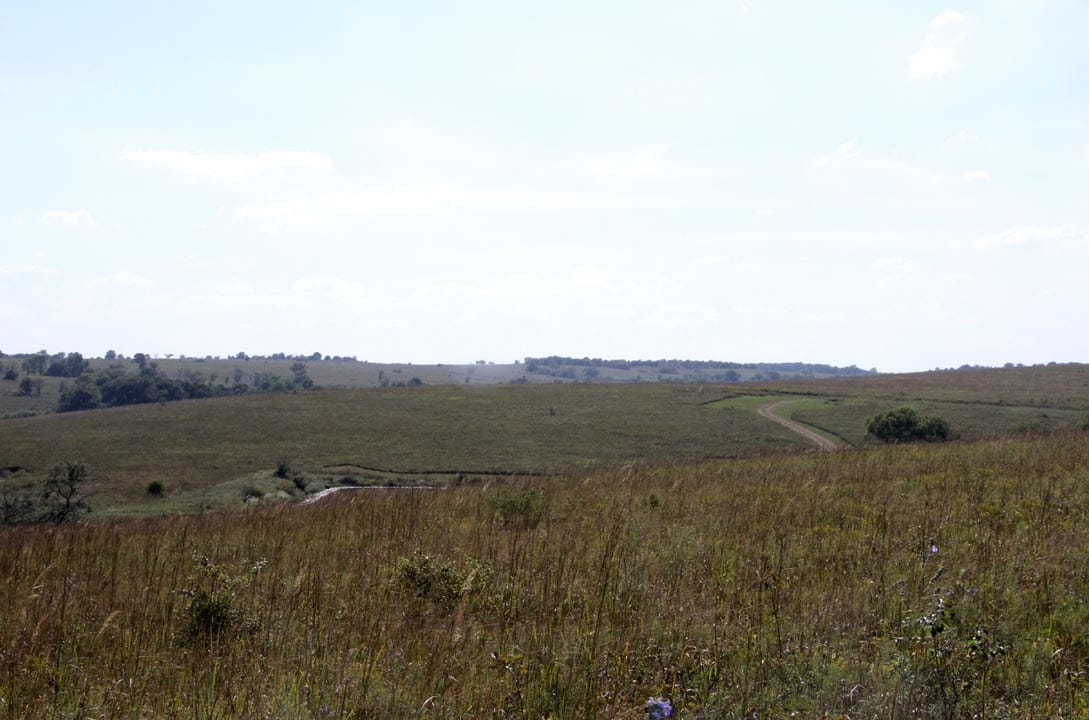 Cowboy Meadows Tract 13 photo 1