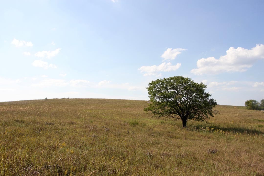 Cowboy Meadows Tract 13 photo 3