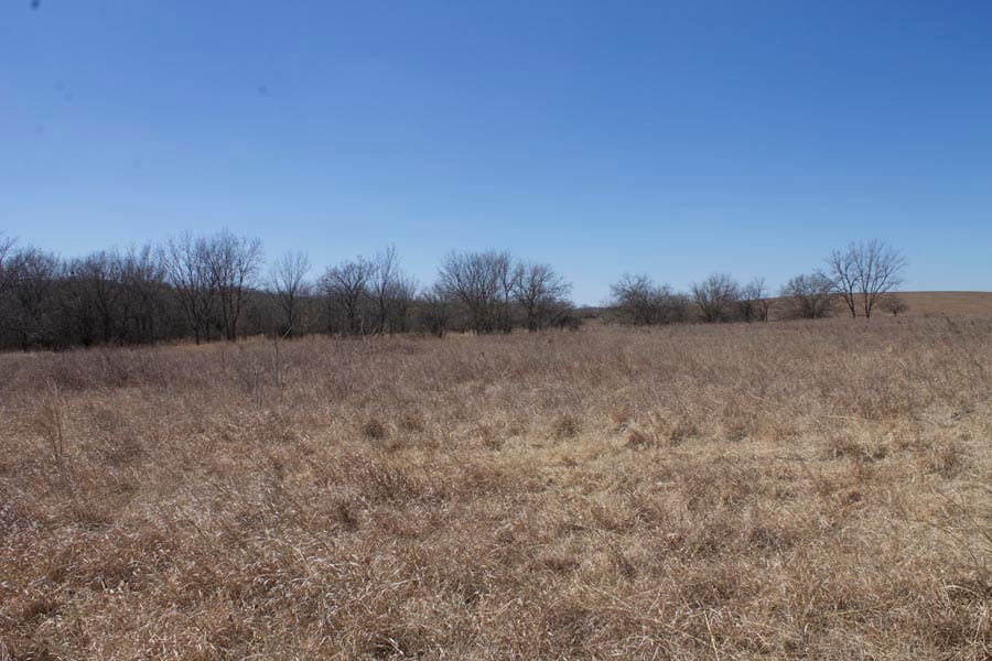 Cowboy Meadows Tract 13 photo 6