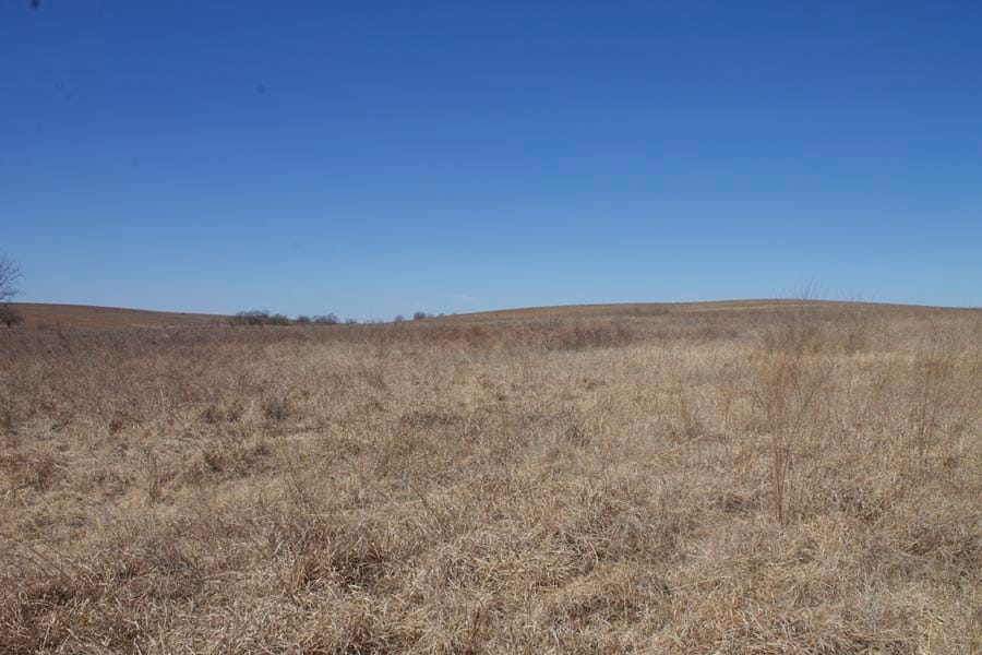 Cowboy Meadows Tract 13 photo 7