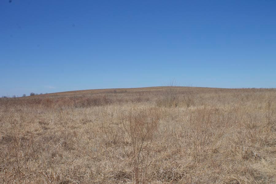 Cowboy Meadows Tract 13 photo 8