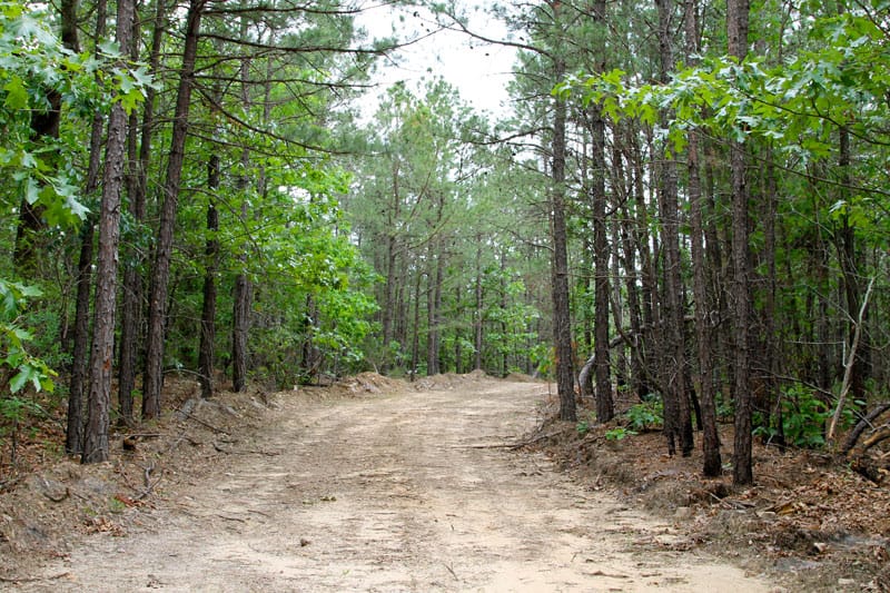 Trophy Ridge Phase II Tract 90 photo 1