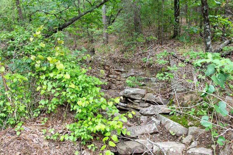 Trophy Ridge Phase II Tract 90 photo 5