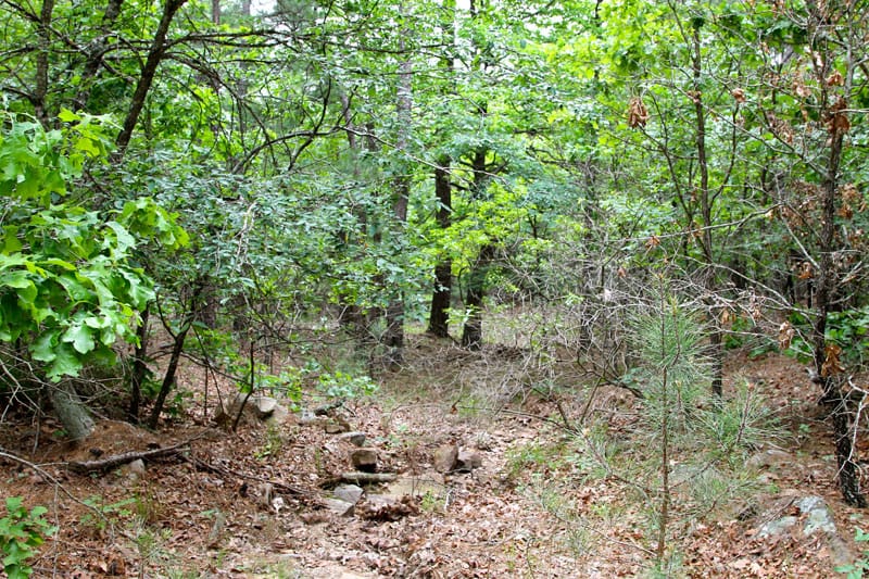 Trophy Ridge Phase II Tract 90 photo 8
