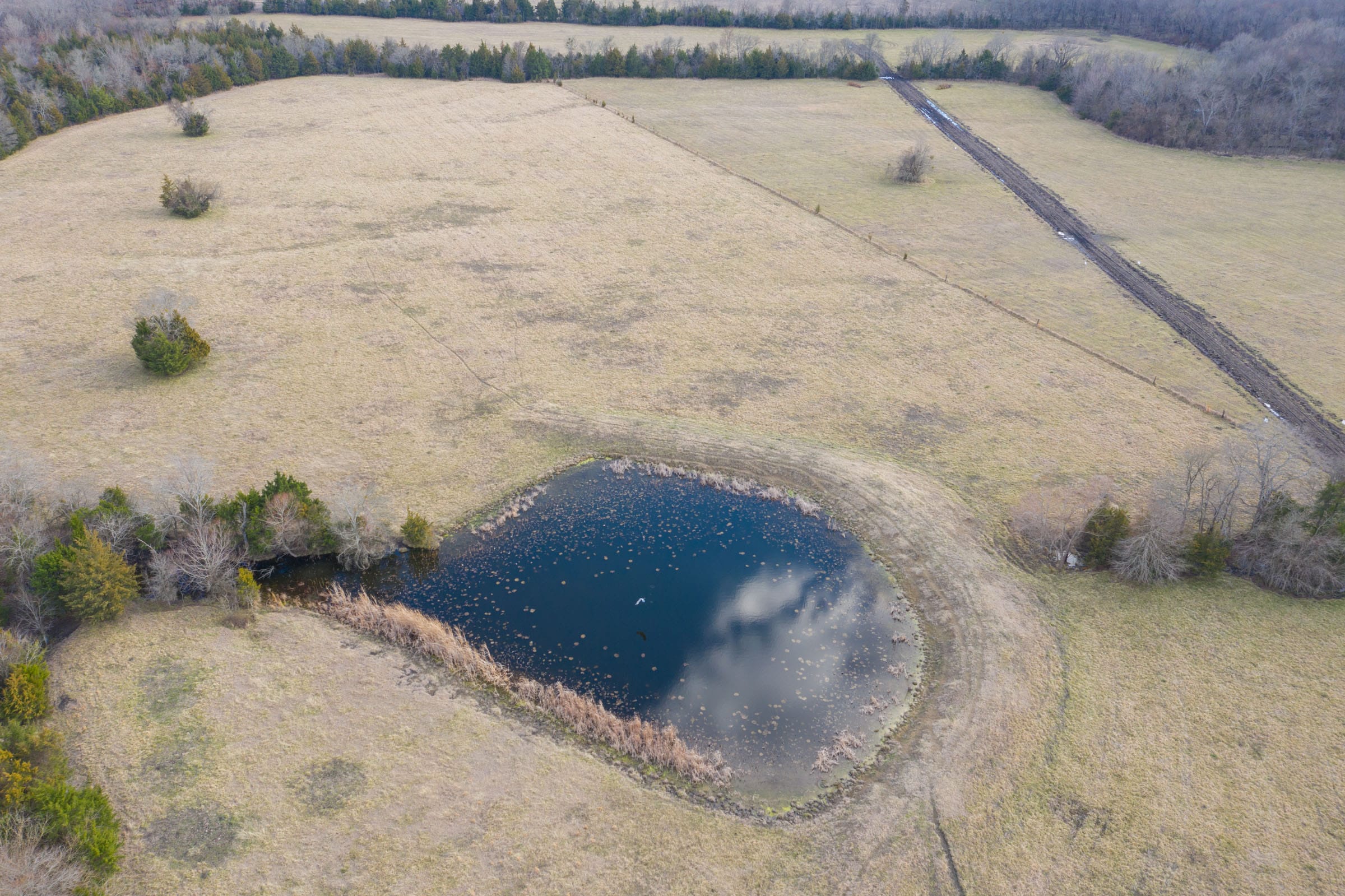 Wishing Star Ranch Tract 82 photo 1