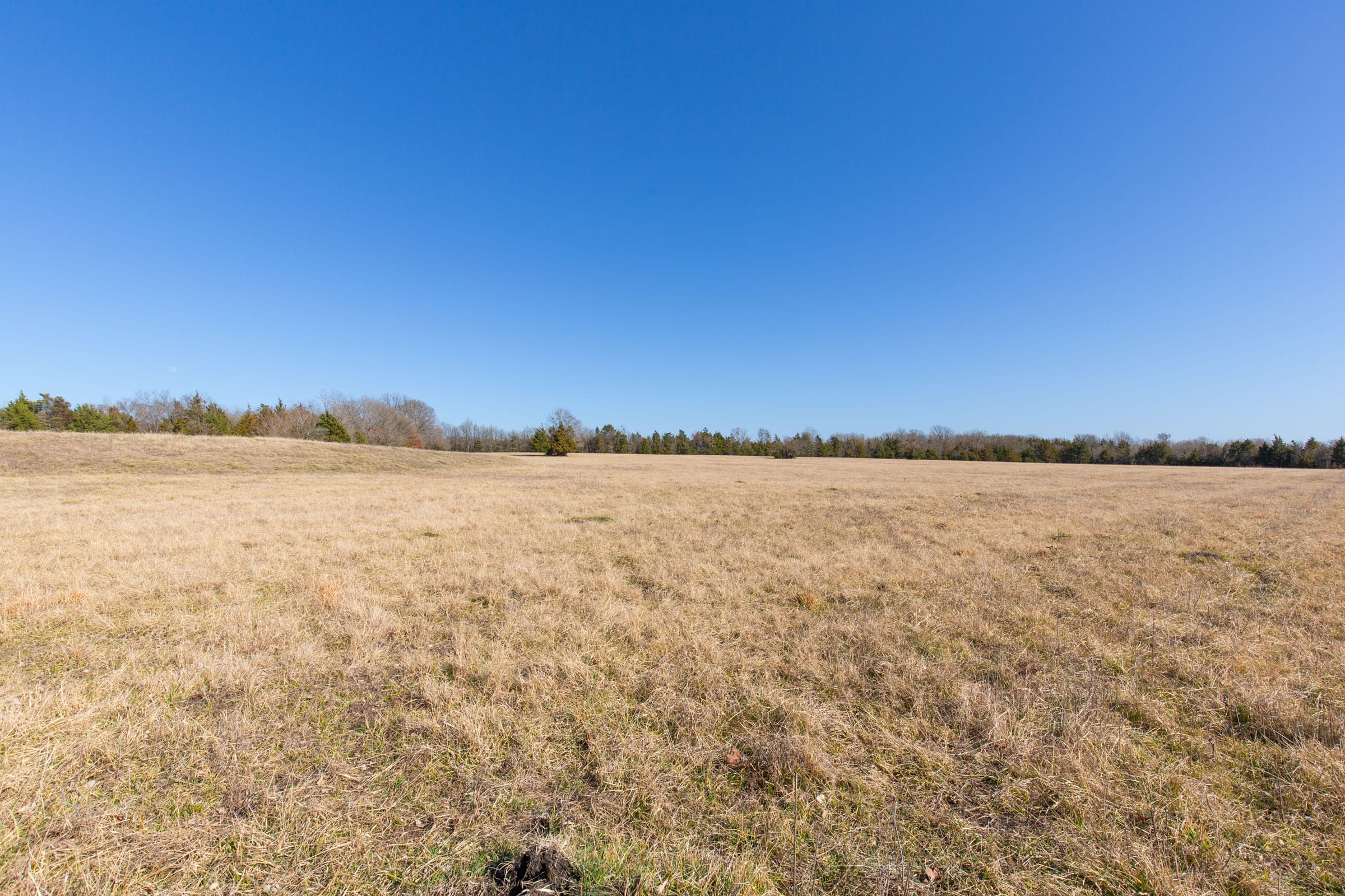 Wishing Star Ranch Tract 82 photo 3