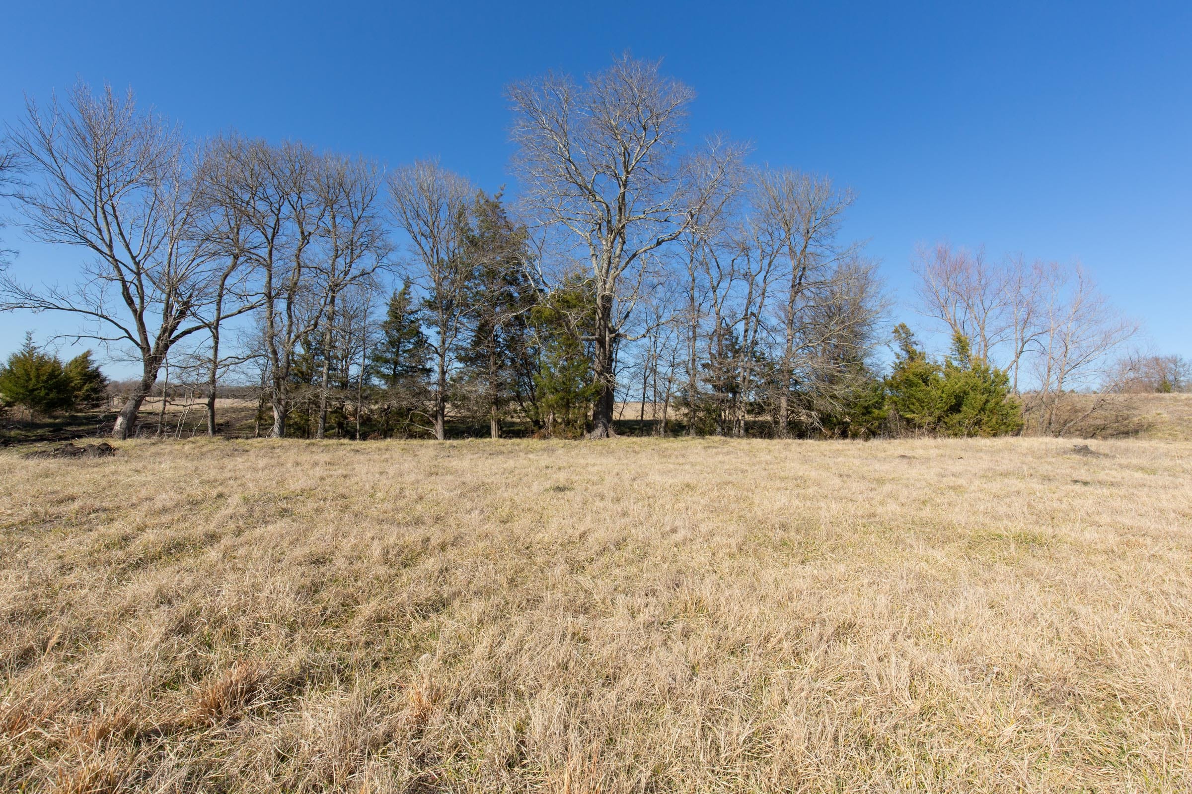 Wishing Star Ranch Tract 82 photo 4