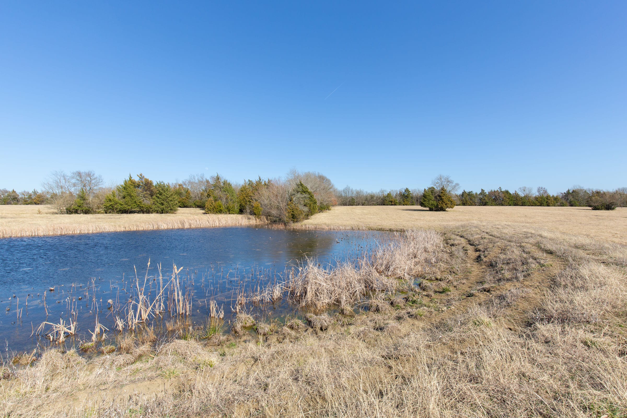 Wishing Star Ranch Tract 82 photo 5