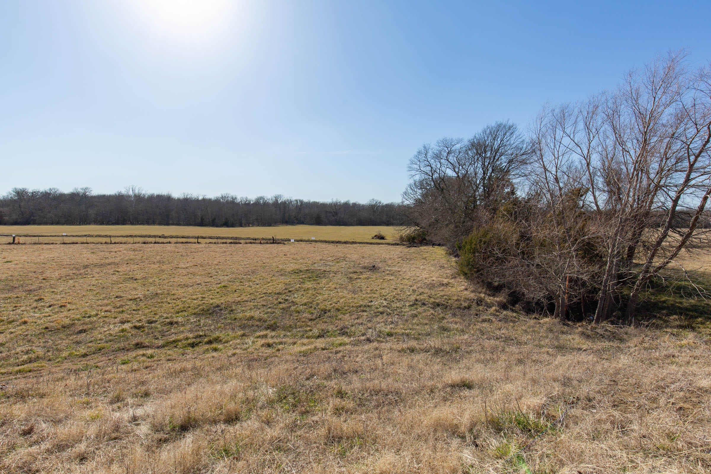 Wishing Star Ranch Tract 82 photo 6