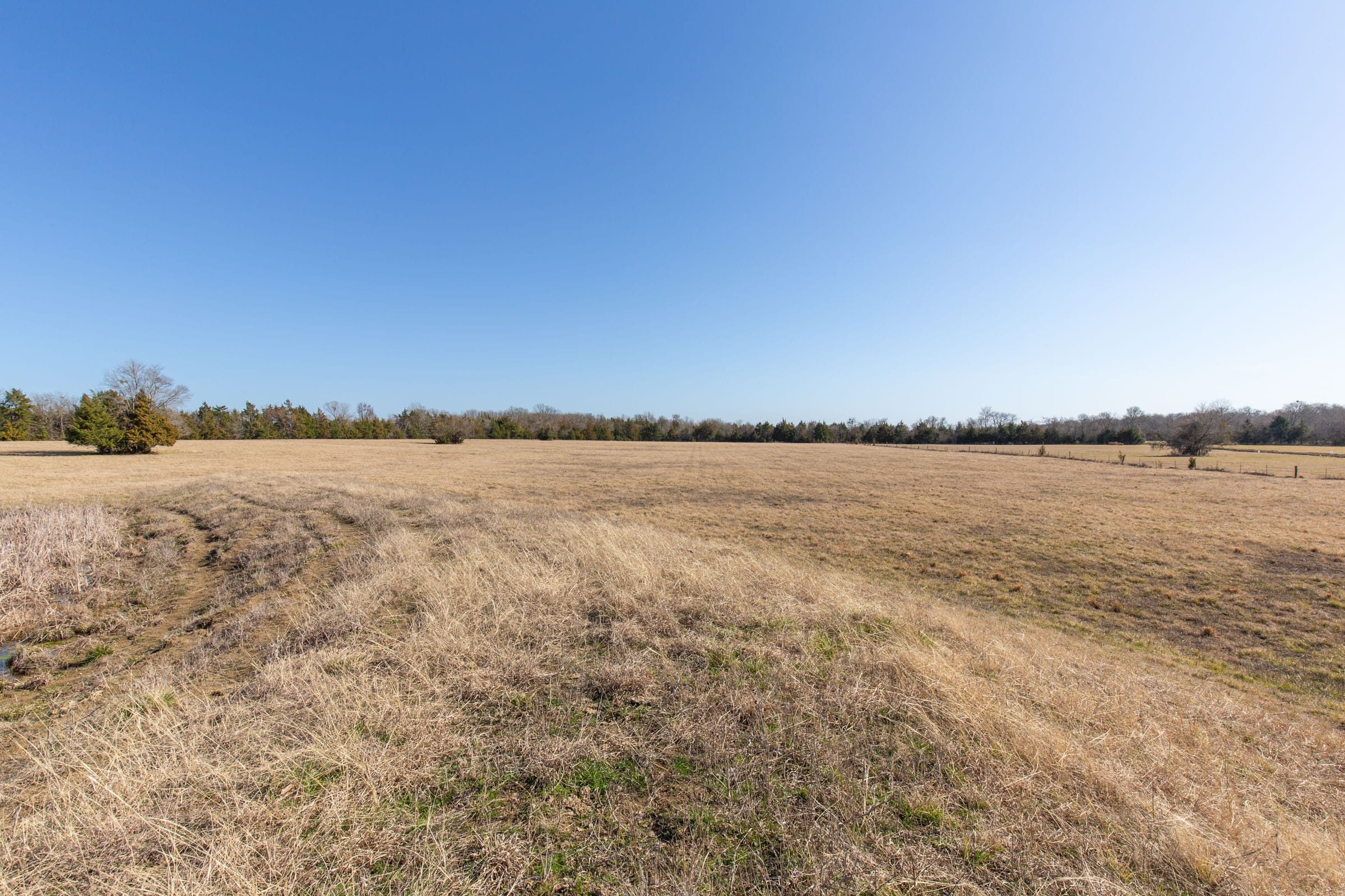 Wishing Star Ranch Tract 82 photo 7