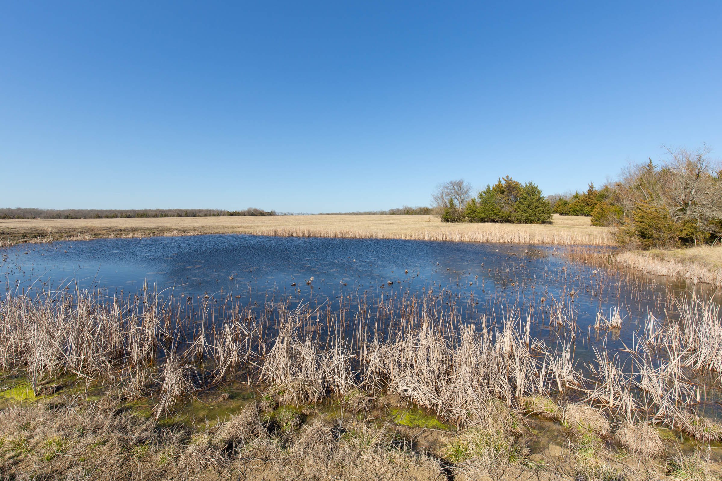 Wishing Star Ranch Tract 82 photo 10