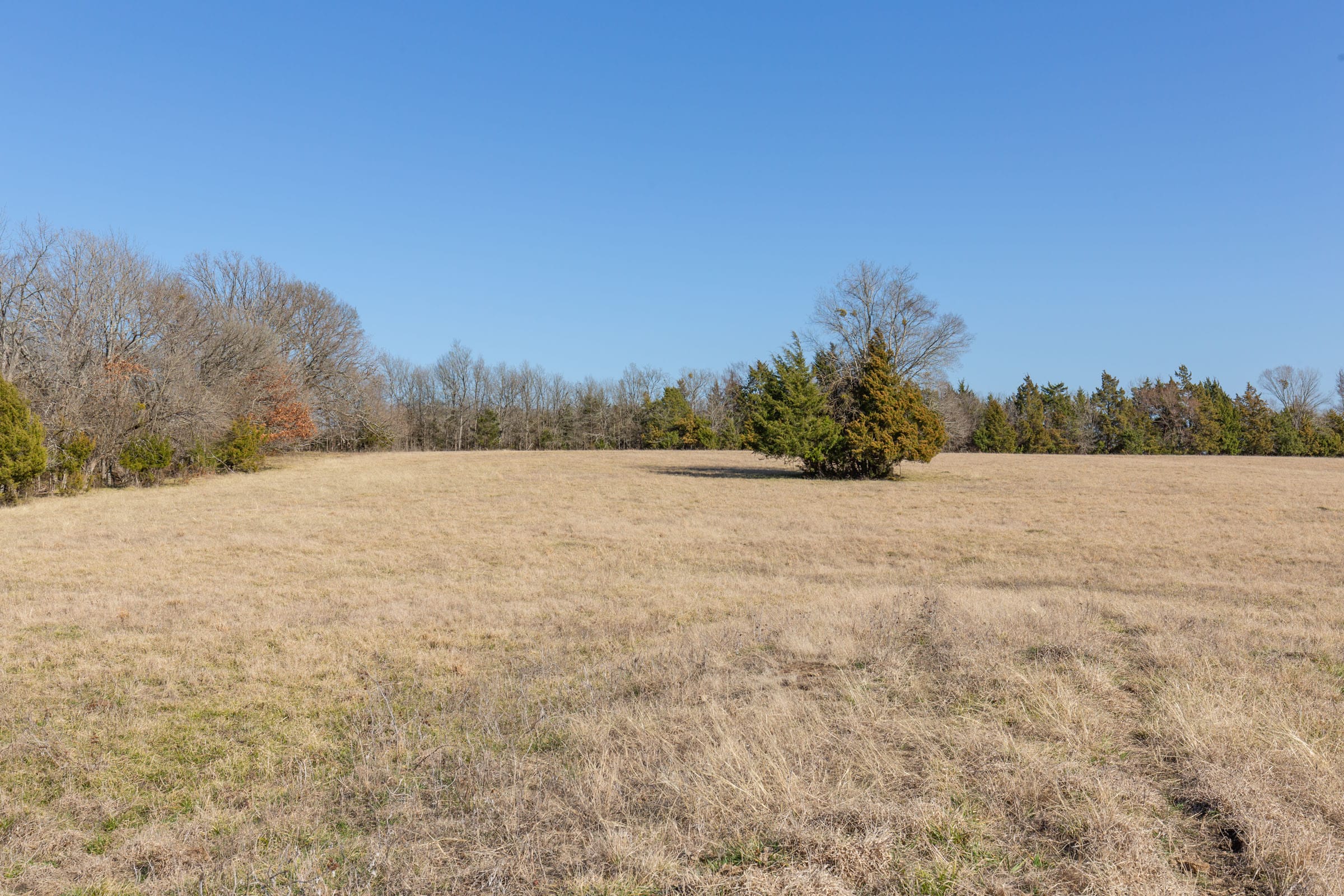 Wishing Star Ranch Tract 82 photo 11