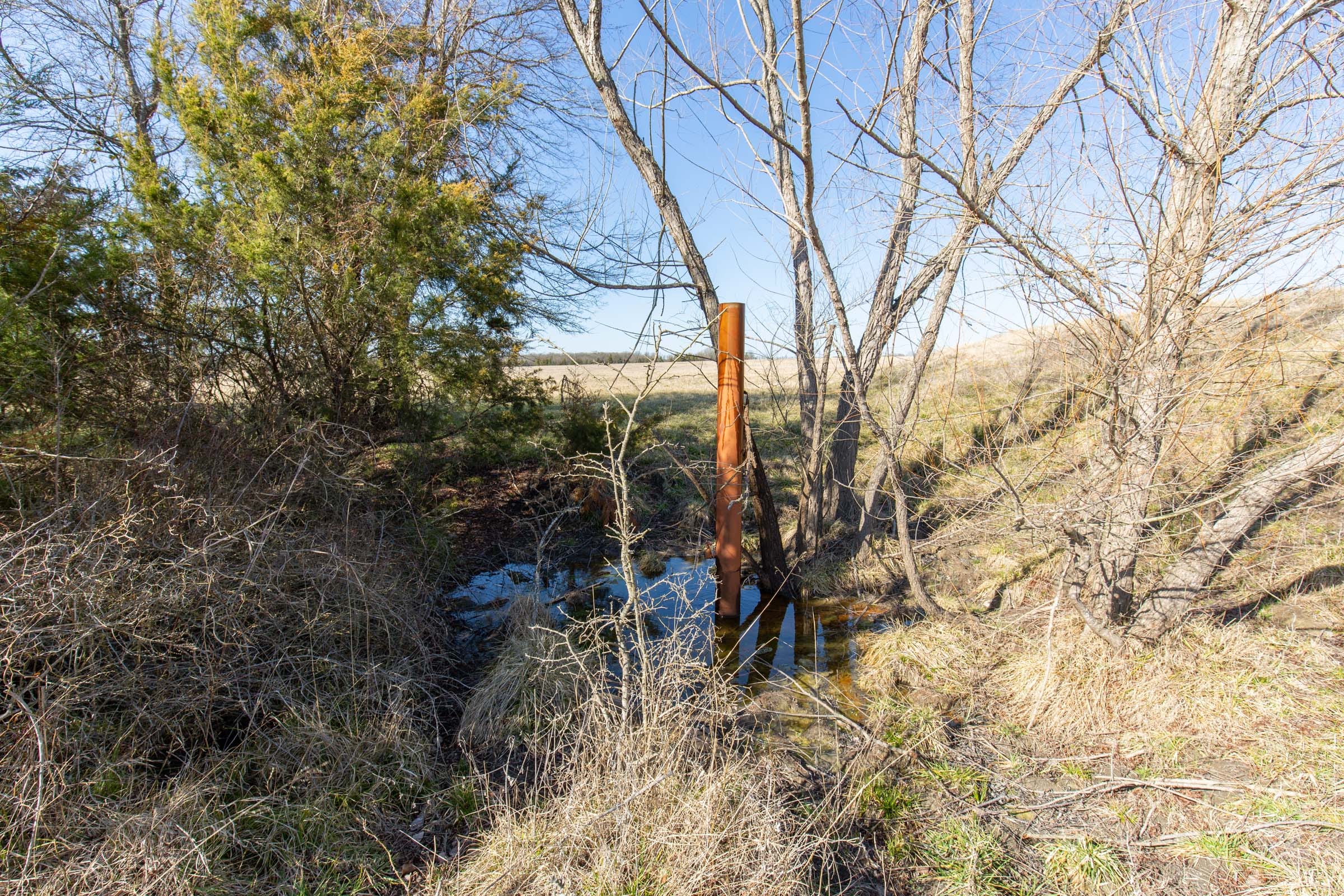 Wishing Star Ranch Tract 82 photo 12
