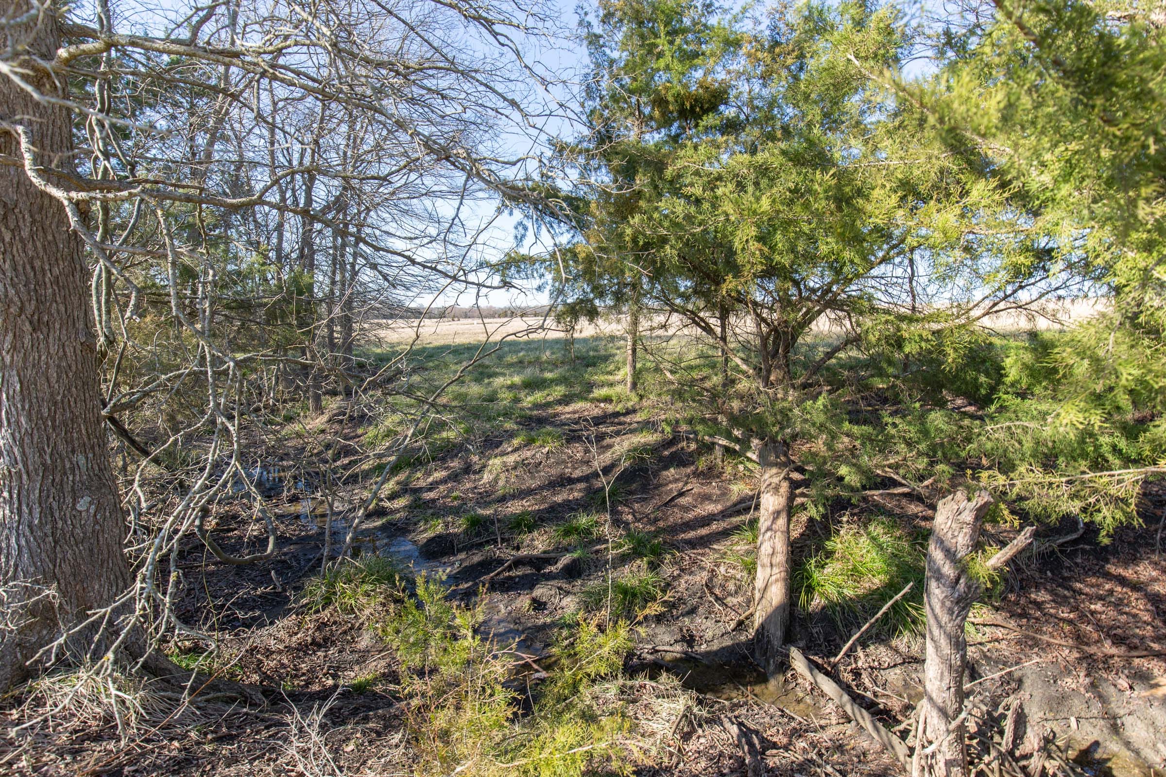 Wishing Star Ranch Tract 82 photo 13