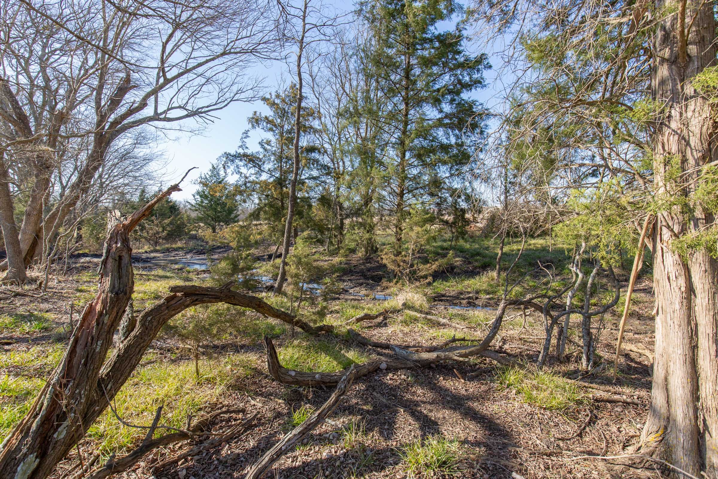 Wishing Star Ranch Tract 82 photo 15