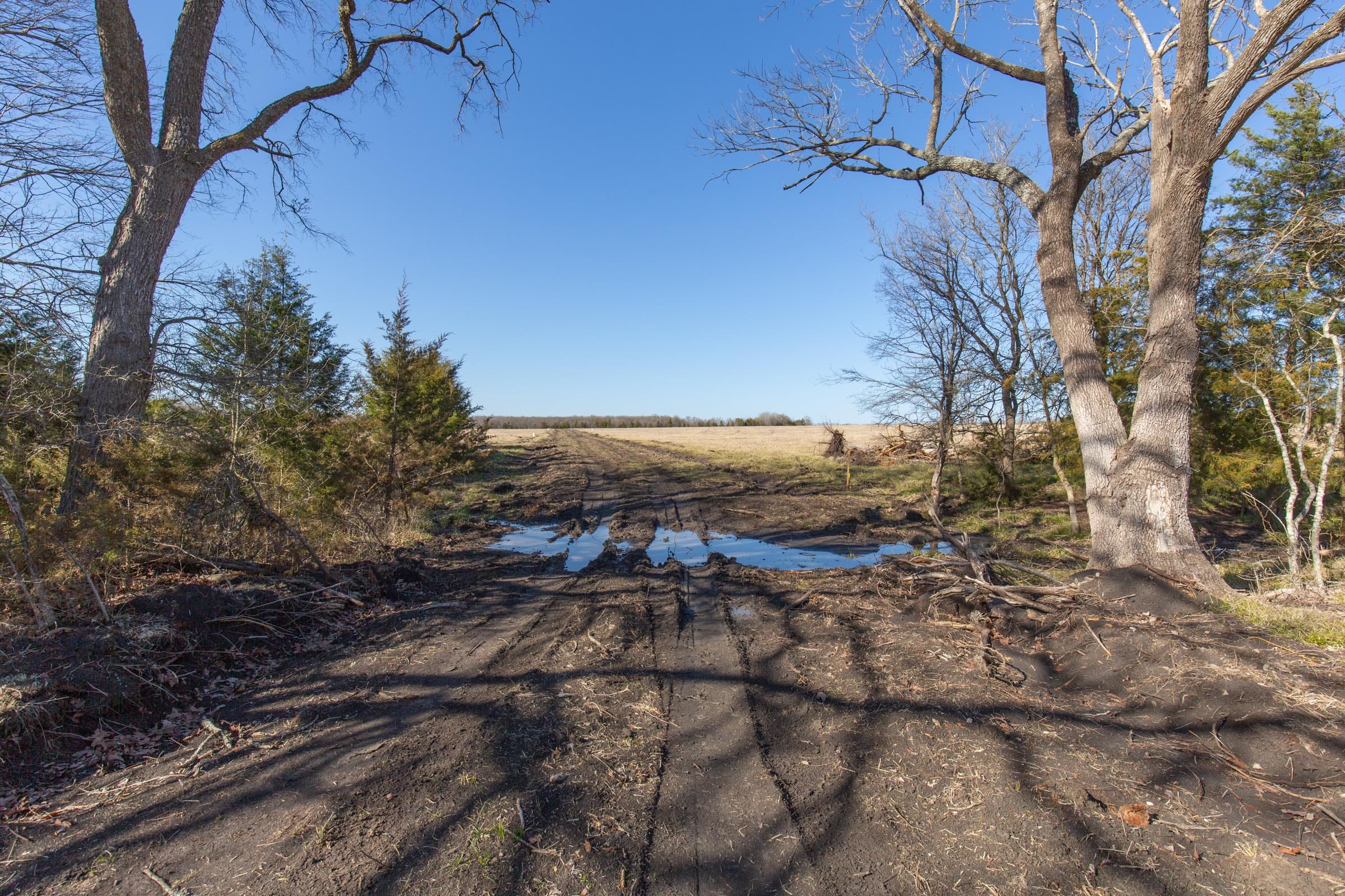 Wishing Star Ranch Tract 82 photo 9