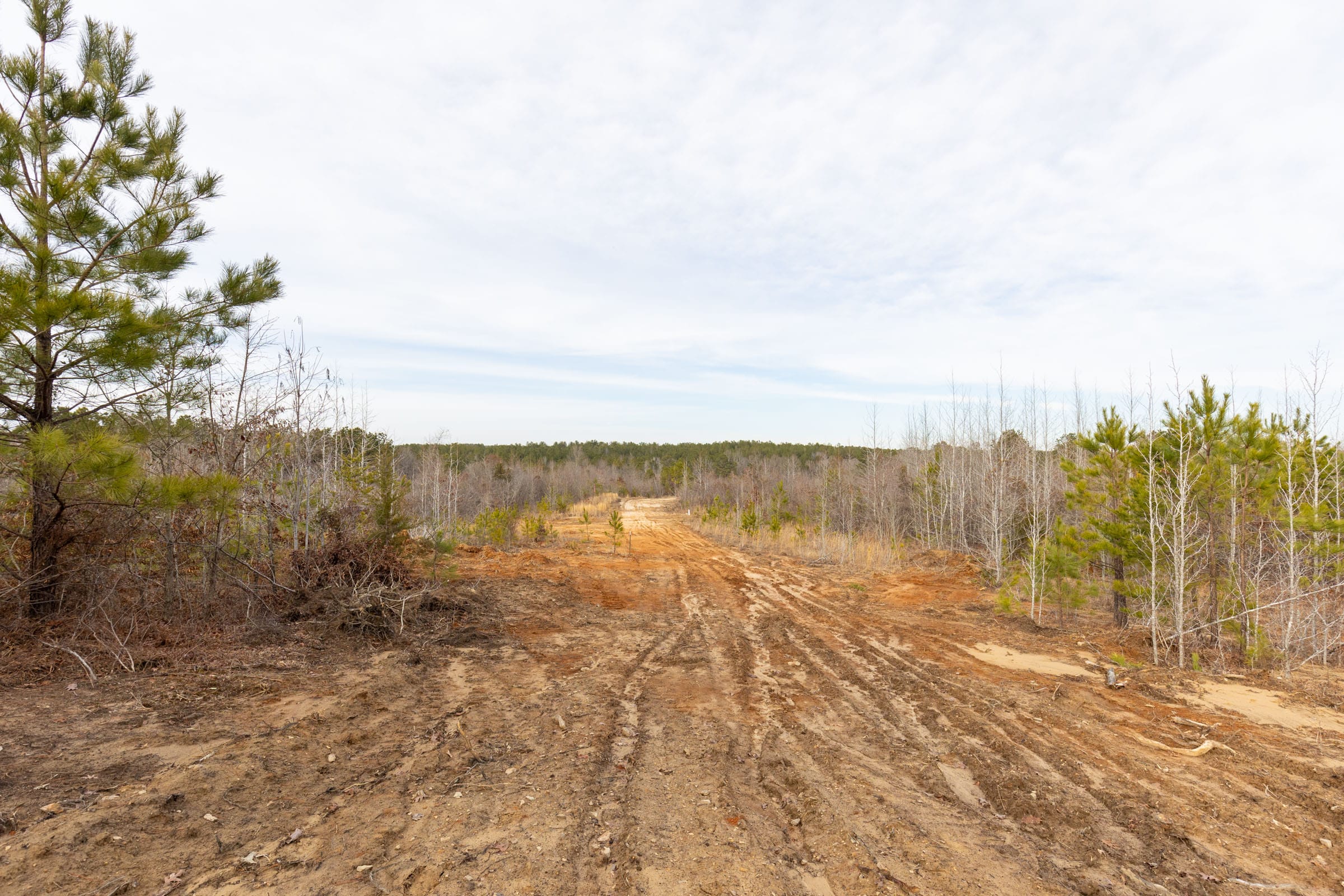 Baker Creek Tract 17 photo 11