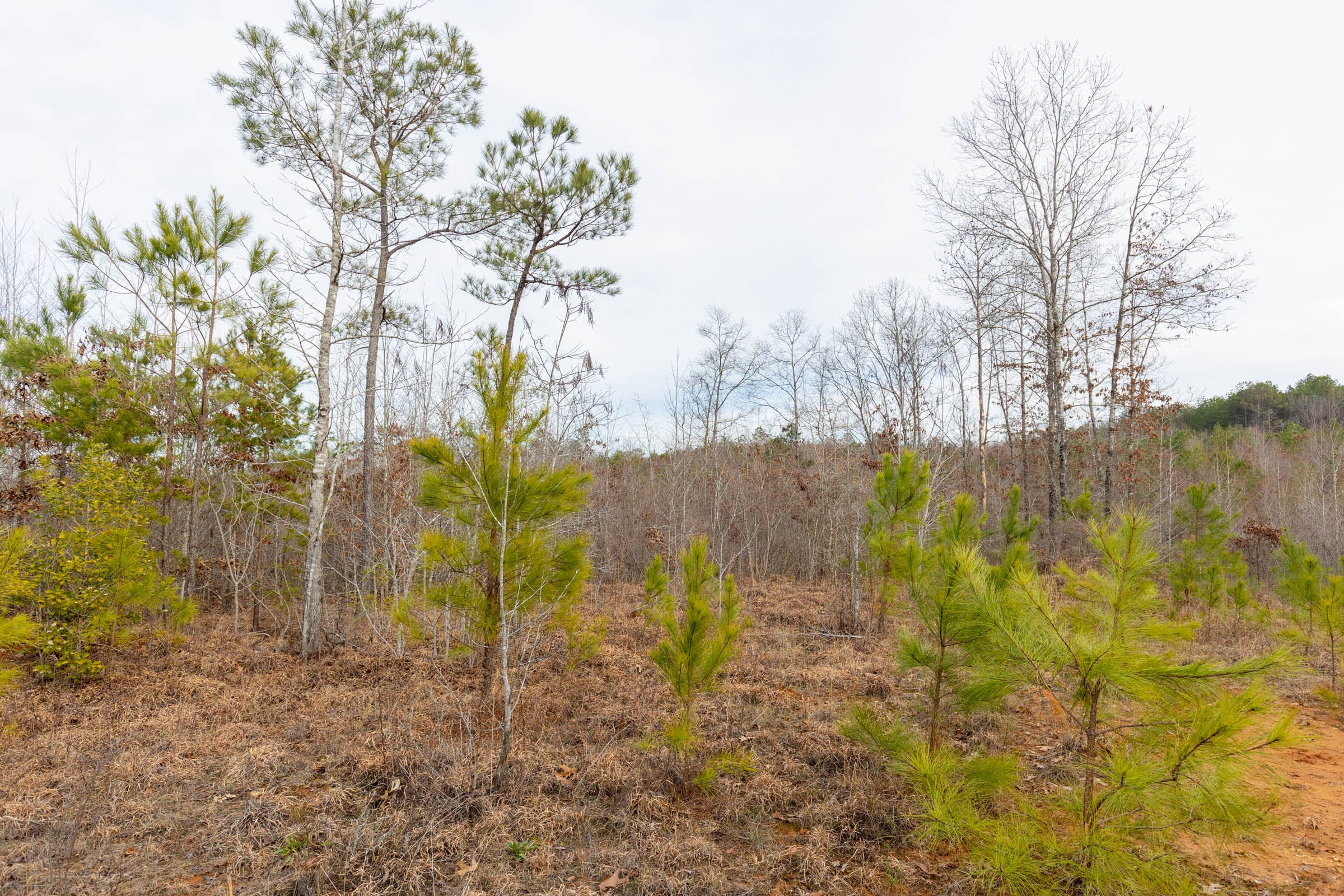 Baker Creek Tract 17 photo 1