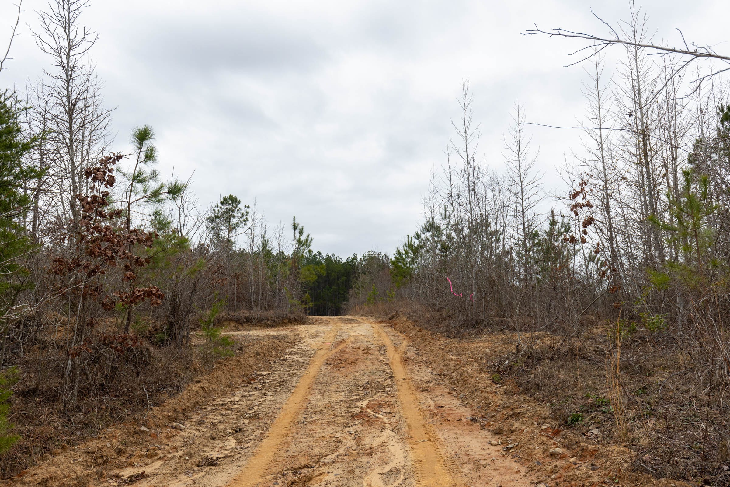 Baker Creek Tract 17 photo 9