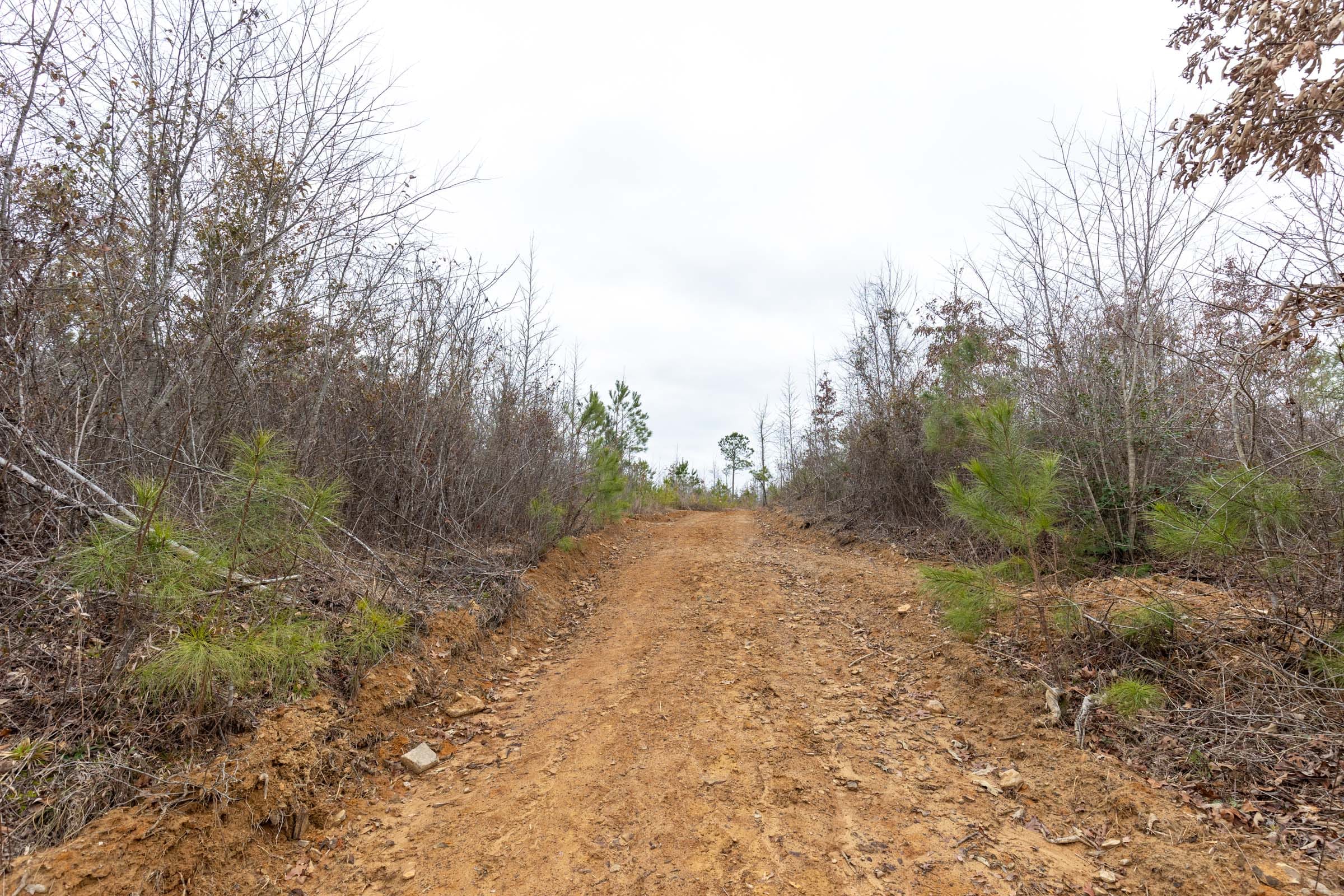 Baker Creek Tract 17 photo 7