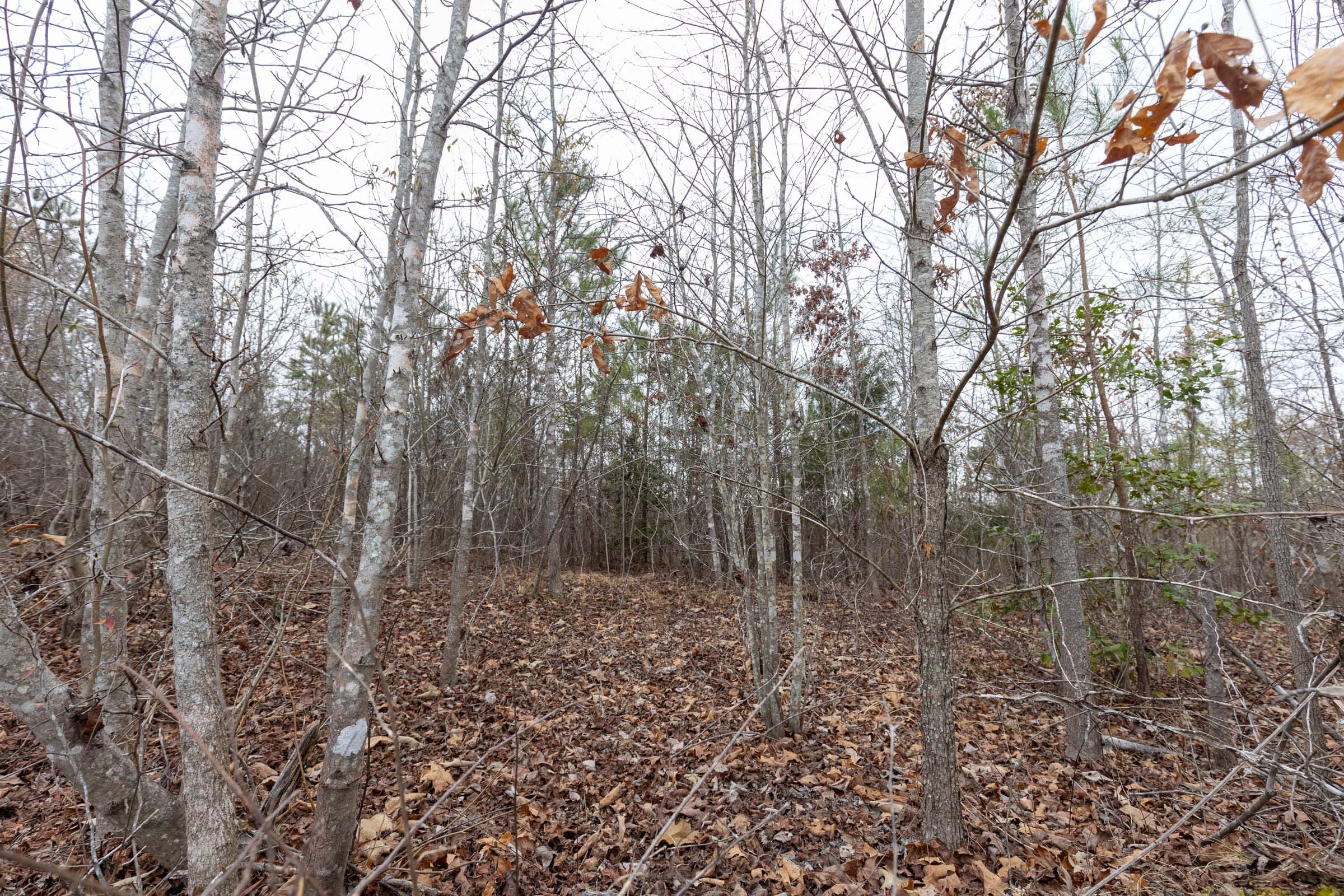 Baker Creek Tract 17 photo 6