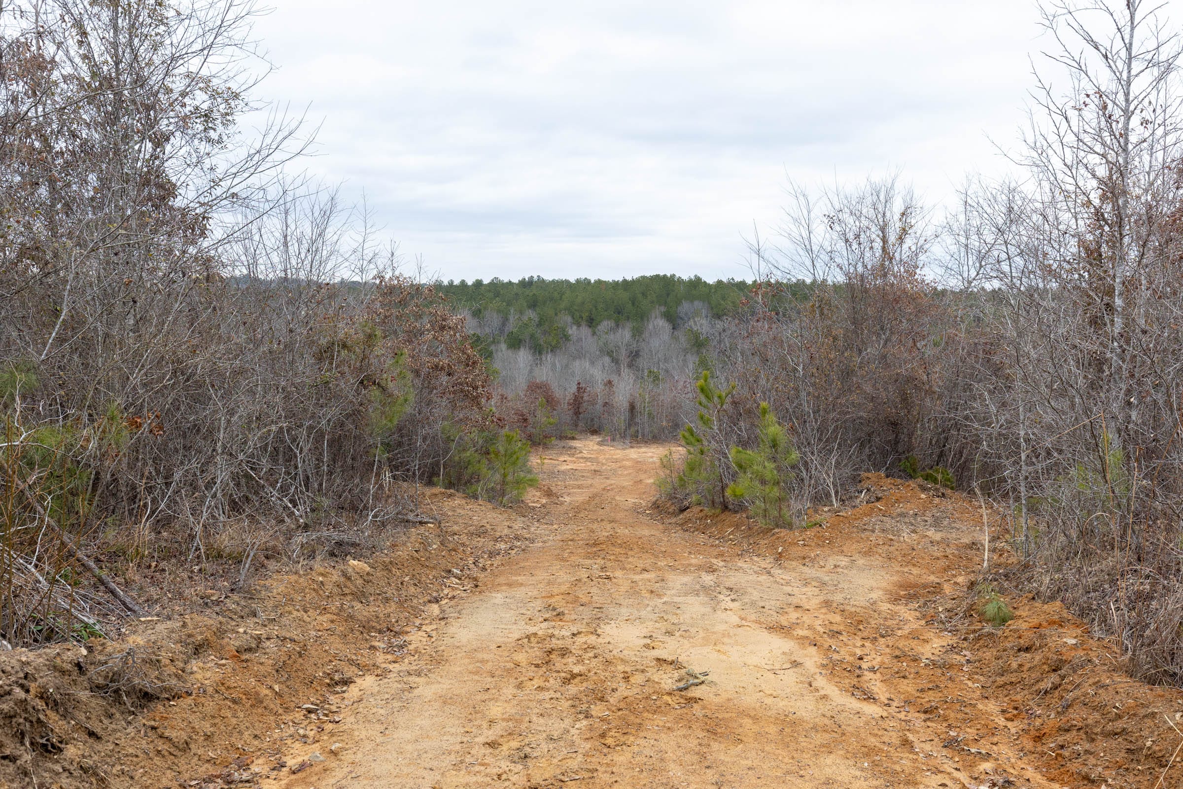 Baker Creek Tract 17 photo 4