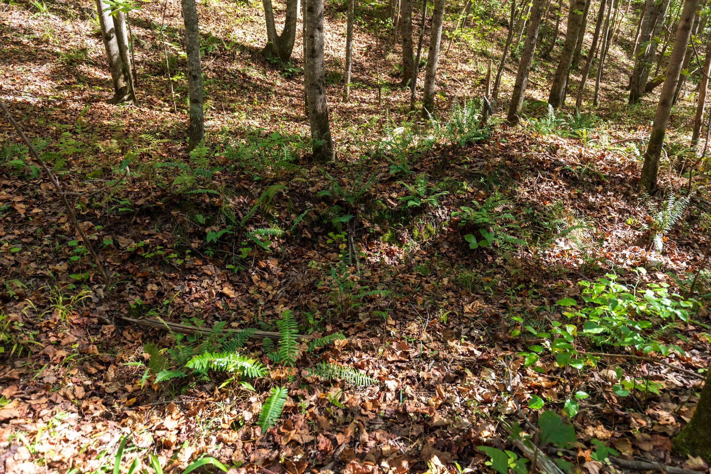 Bear Brook Tract 9 photo 3