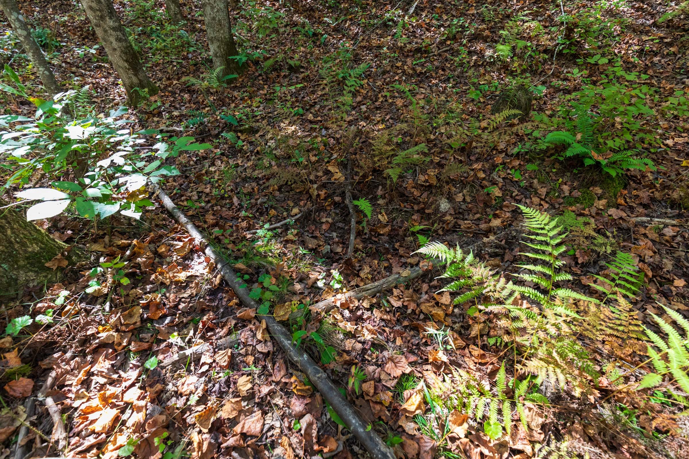 Bear Brook Tract 9 photo 5