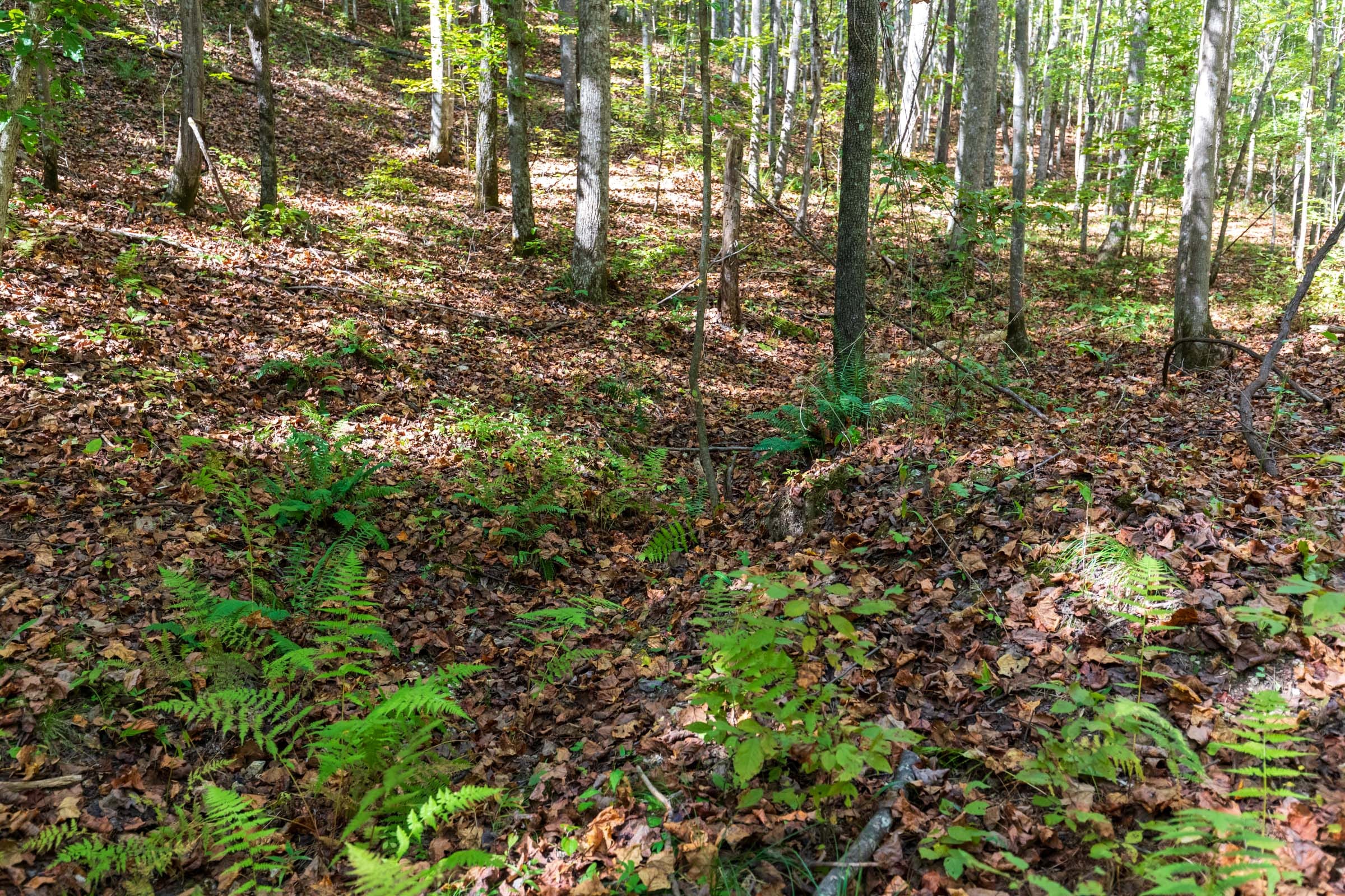 Bear Brook Tract 9 photo 11
