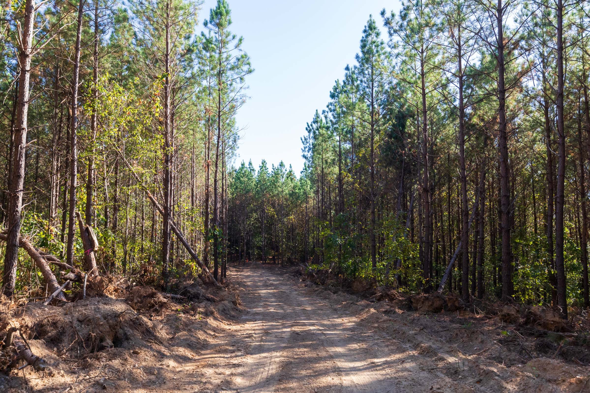 Bear Brook Tract 9 photo 6