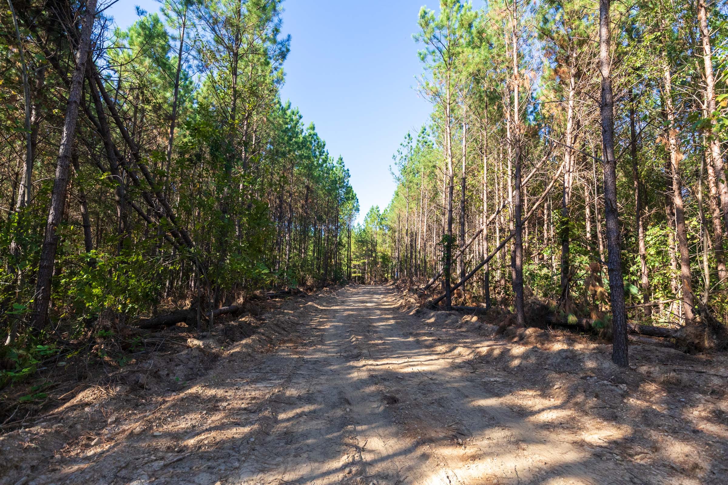 Bear Brook Tract 9 photo 1