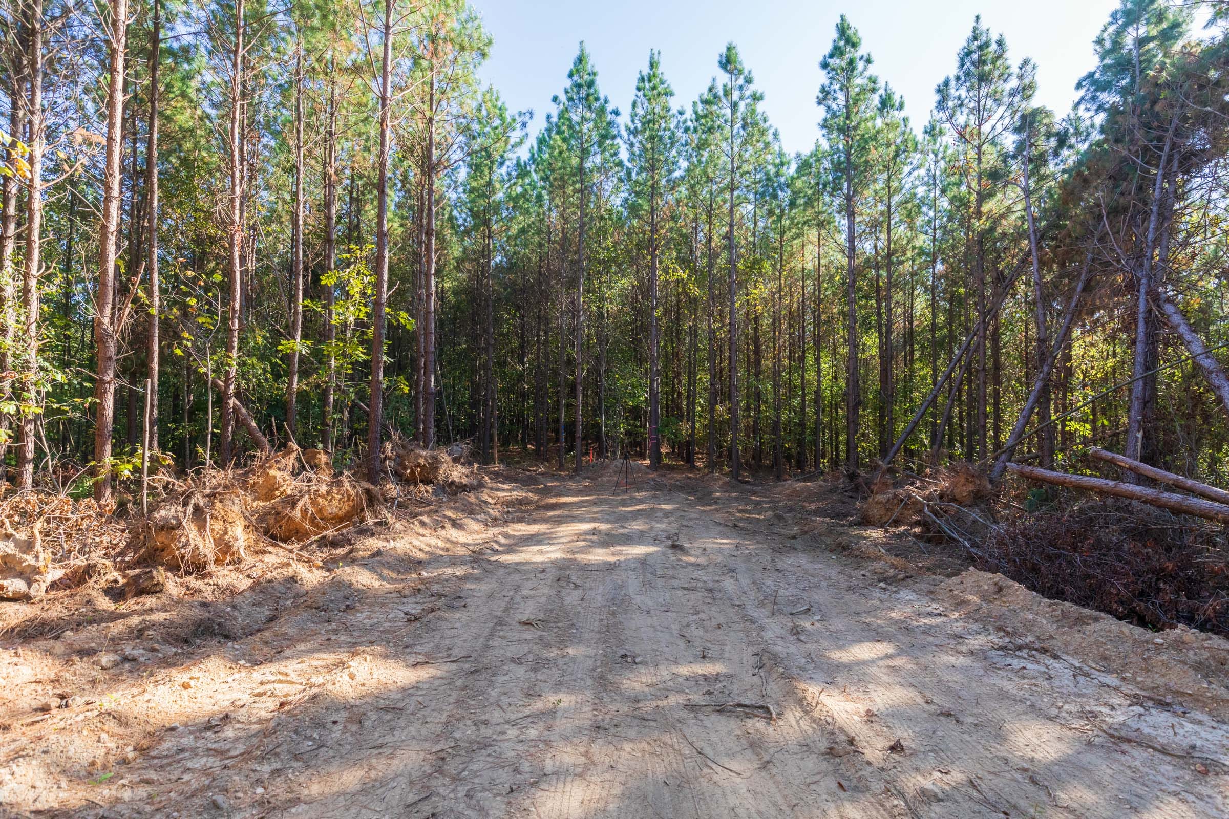 Bear Brook Tract 9 photo 13