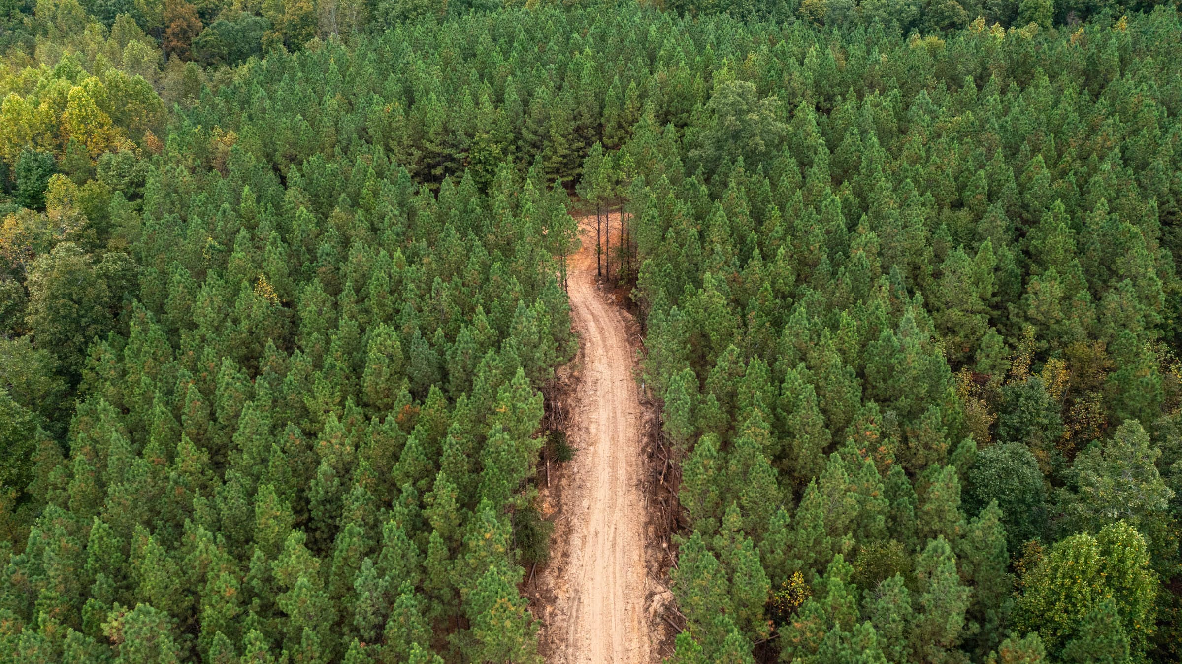 Bear Brook Tract 9 photo 10