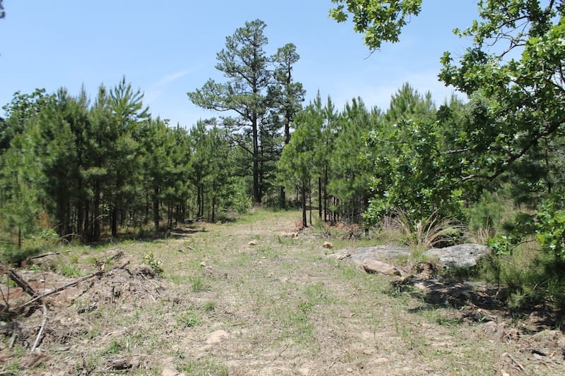 Indian Ridge – Phase II Tract 84 photo 1