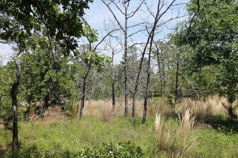 Indian Ridge – Phase II Tract 84 photo 2