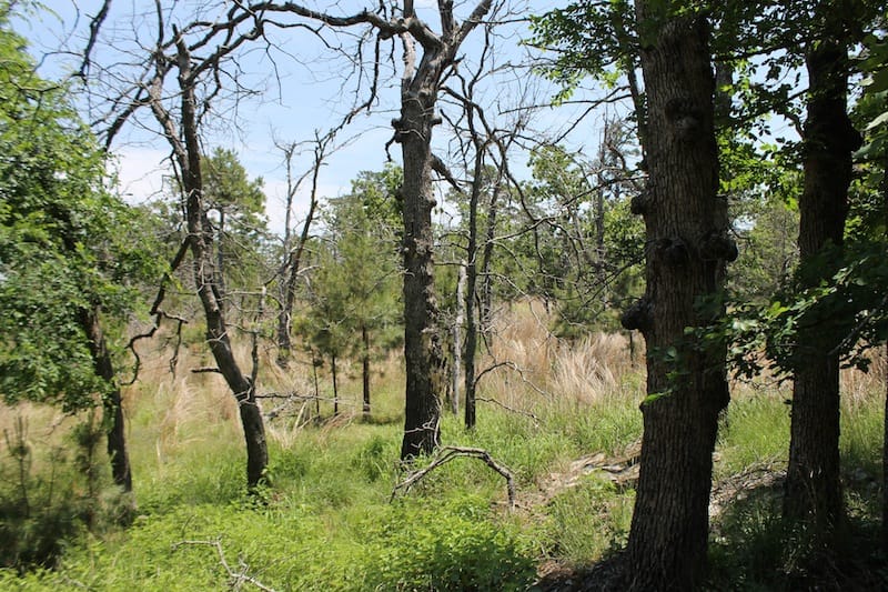 Indian Ridge – Phase II Tract 84 photo 3