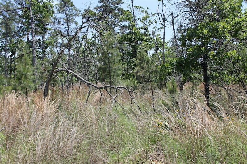 Indian Ridge – Phase II Tract 84 photo 7