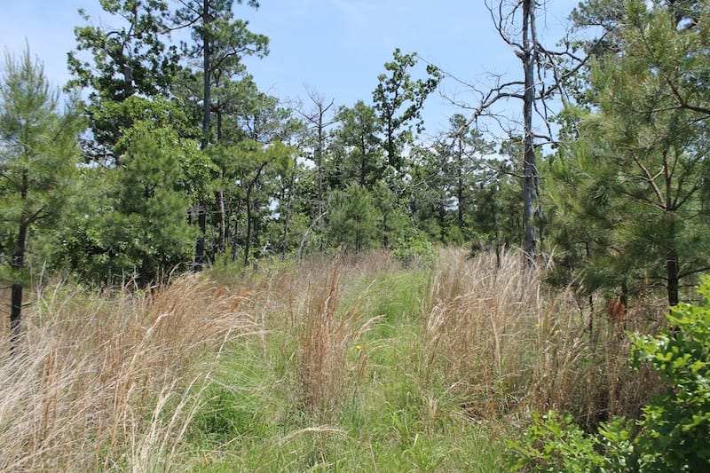 Indian Ridge – Phase II Tract 84 photo 8