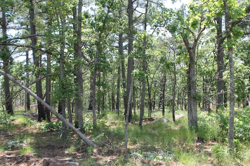 Indian Ridge – Phase II Tract 84 photo 10