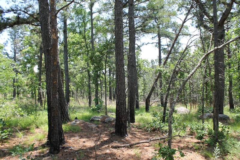 Indian Ridge – Phase II Tract 84 photo 11