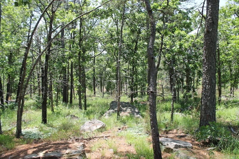 Indian Ridge – Phase II Tract 84 photo 12