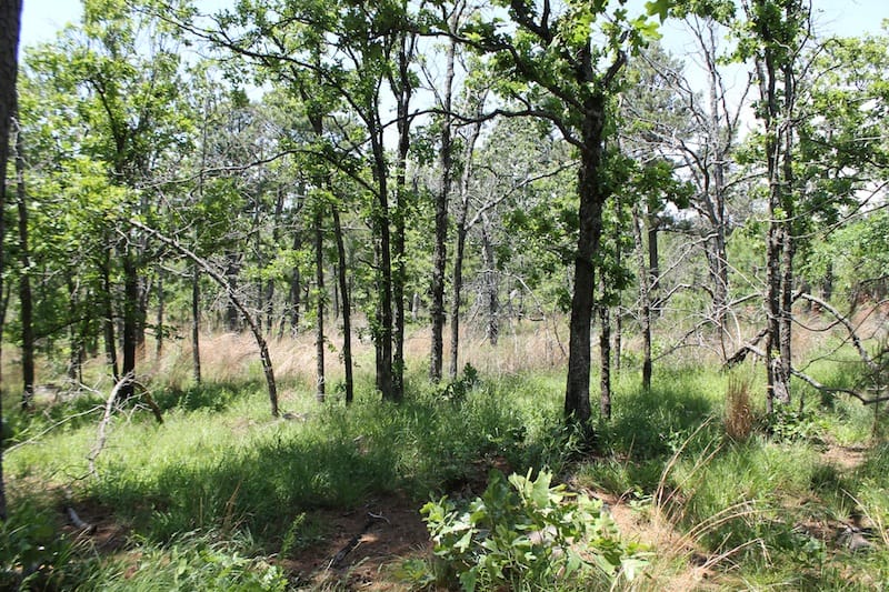 Indian Ridge – Phase II Tract 84 photo 13
