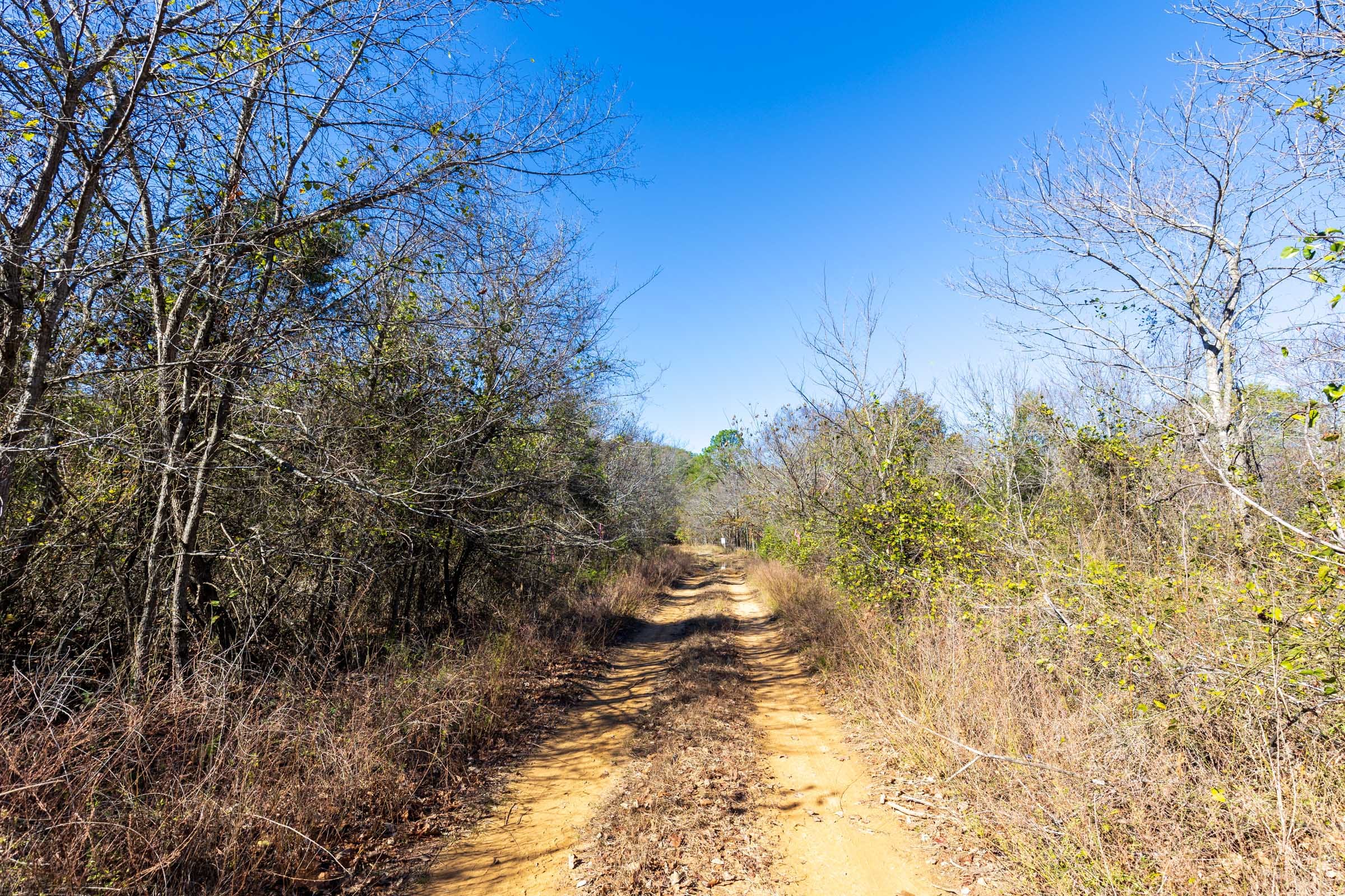 Stone Bridge Reserve Tract 18 photo 1