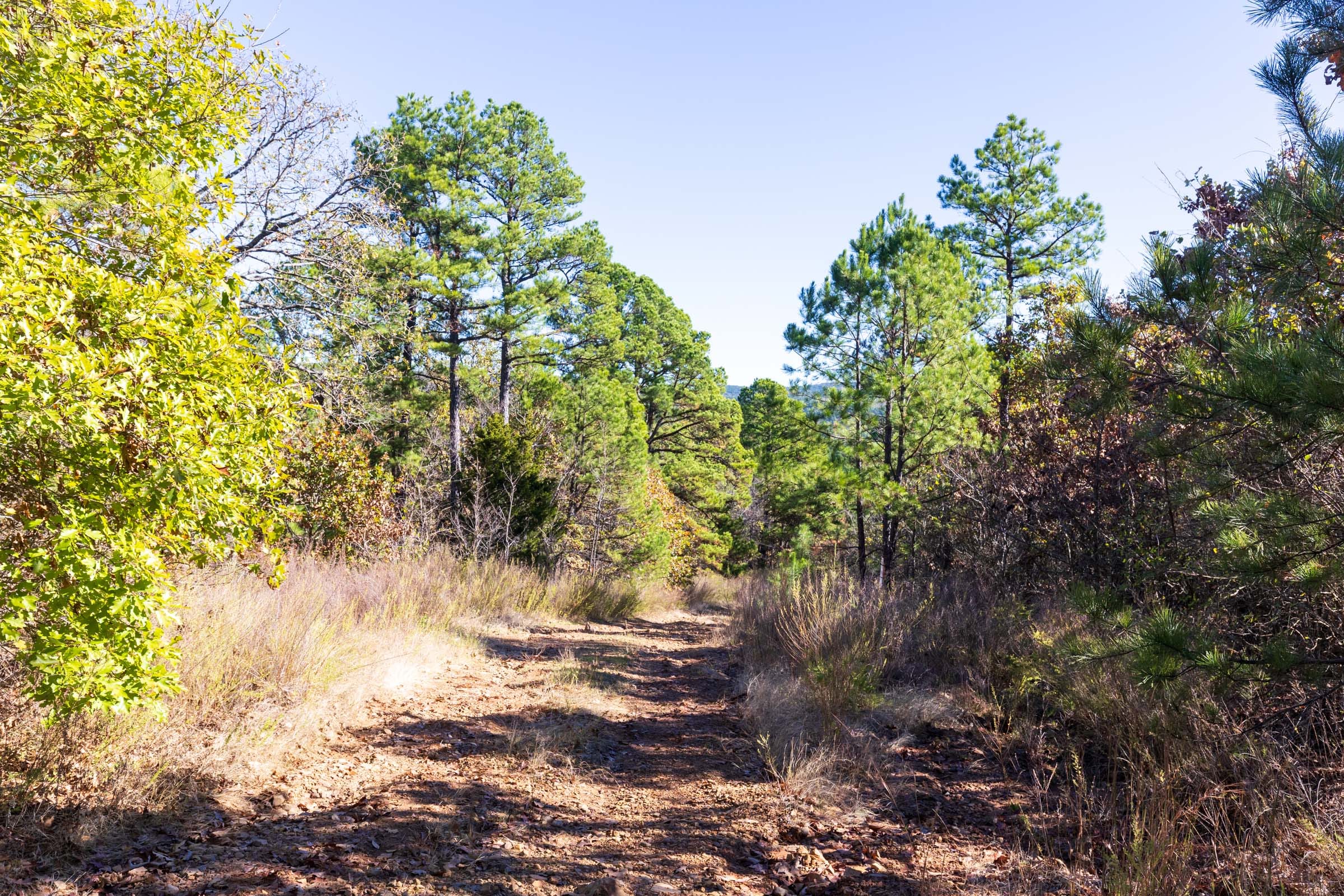 Stone Bridge Reserve Tract 18 photo 9