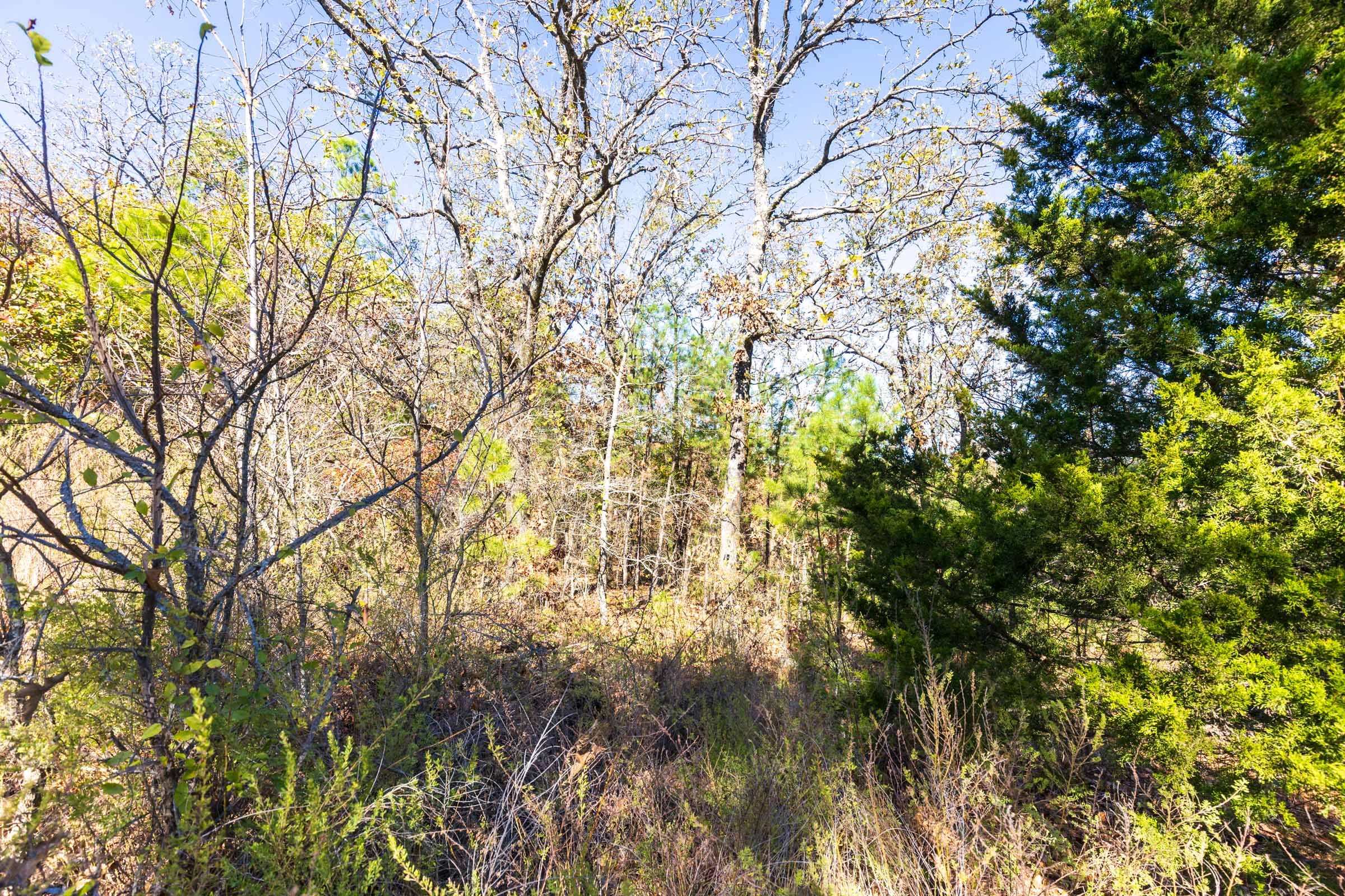 Stone Bridge Reserve Tract 18 photo 2