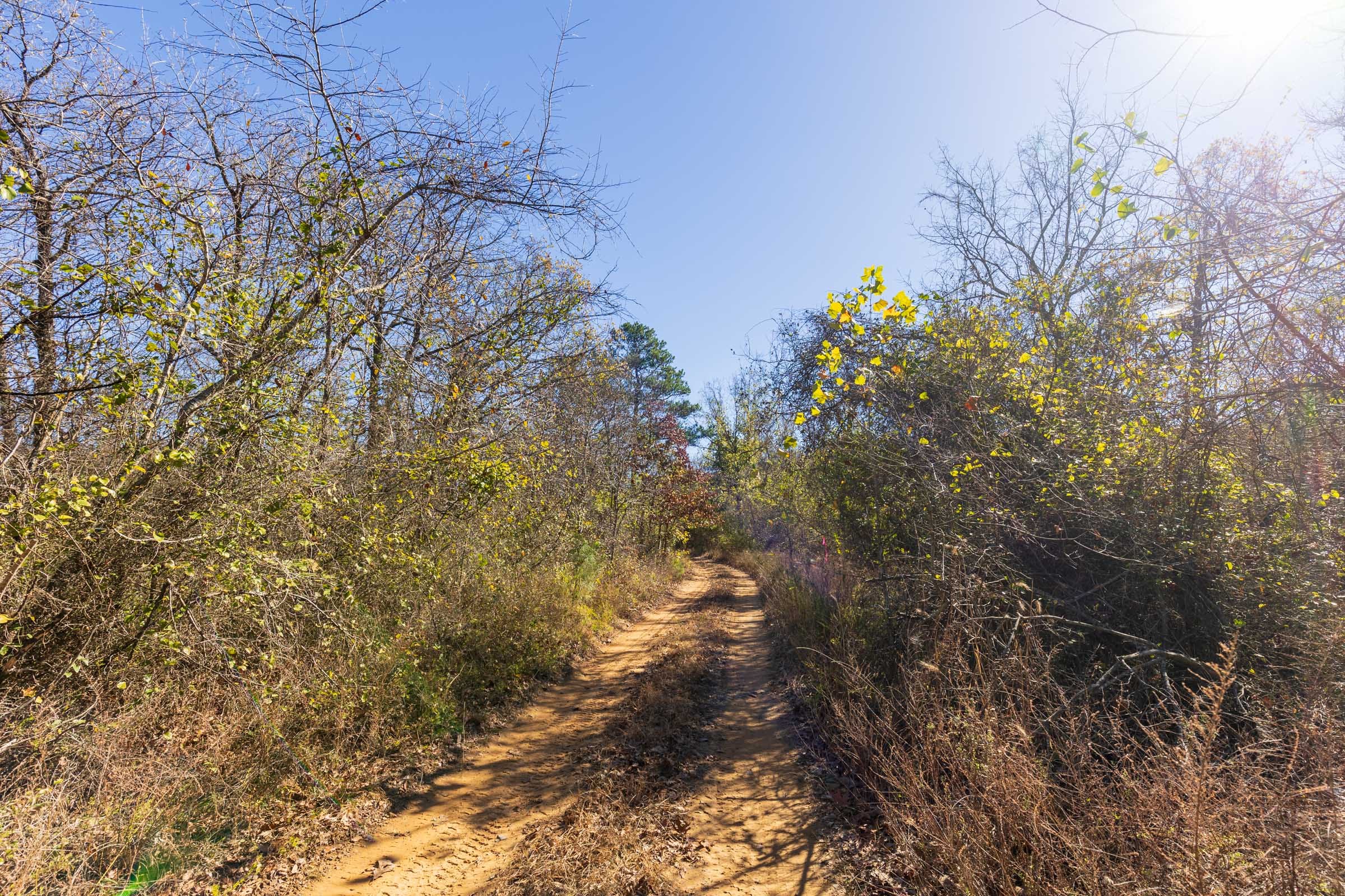 Stone Bridge Reserve Tract 18 photo 8