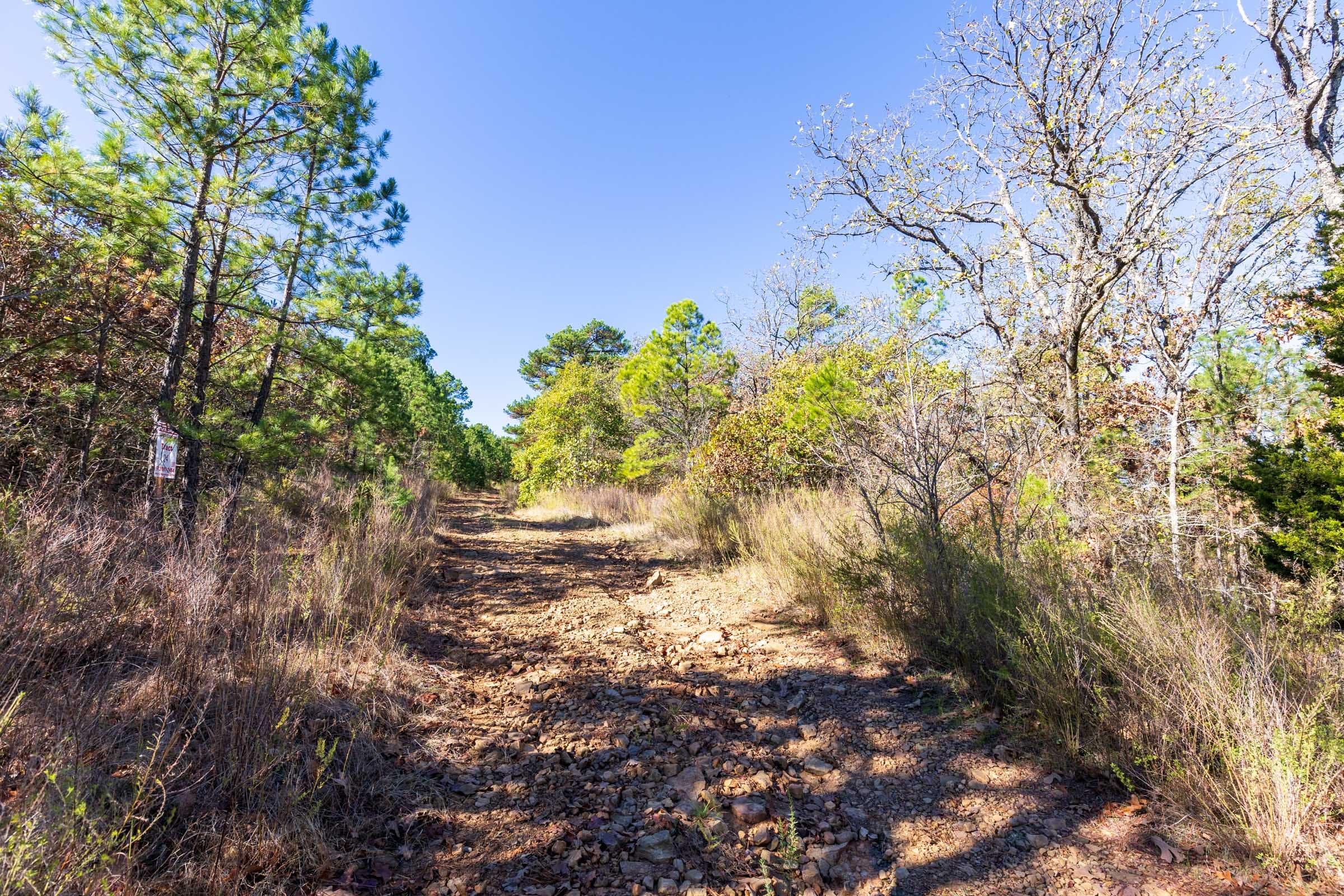 Stone Bridge Reserve Tract 18 photo 7