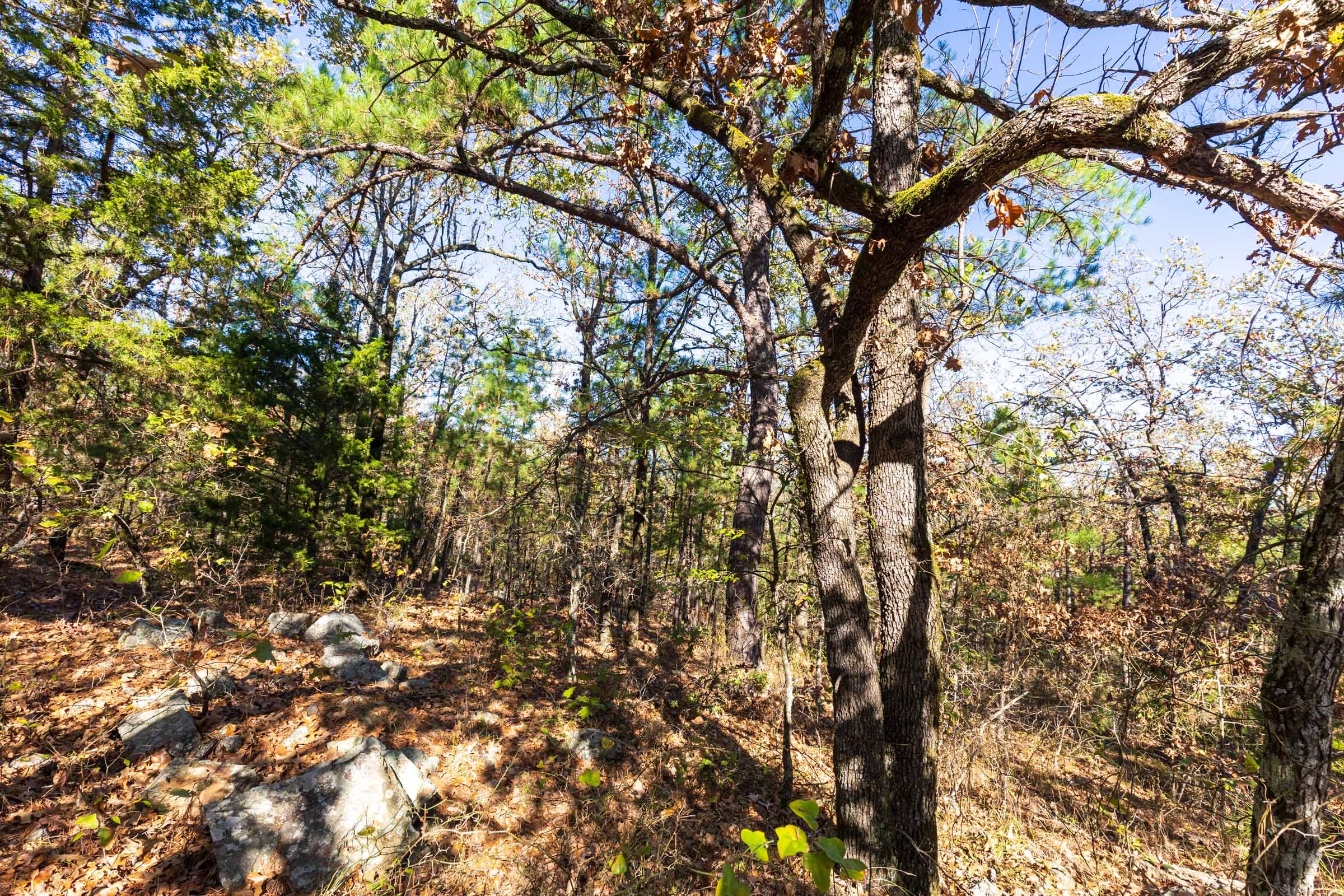 Stone Bridge Reserve Tract 18 photo 5