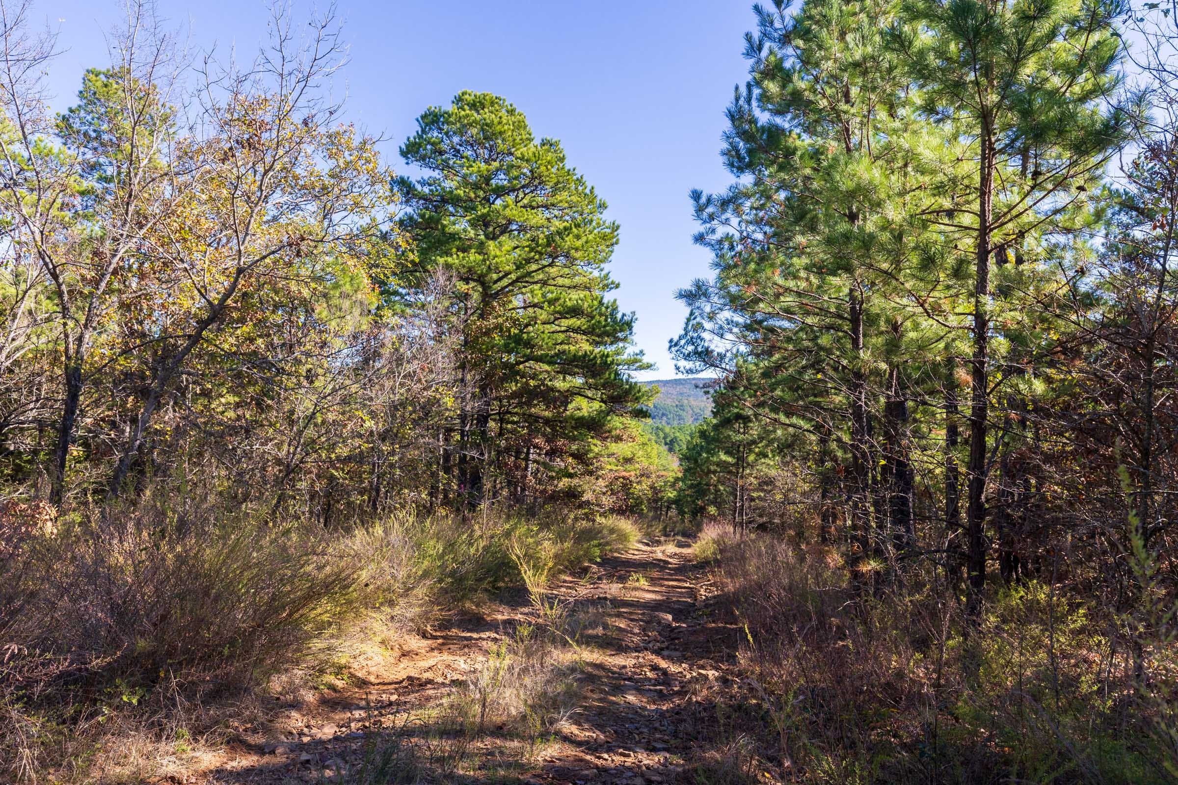 Stone Bridge Reserve Tract 18 photo 3