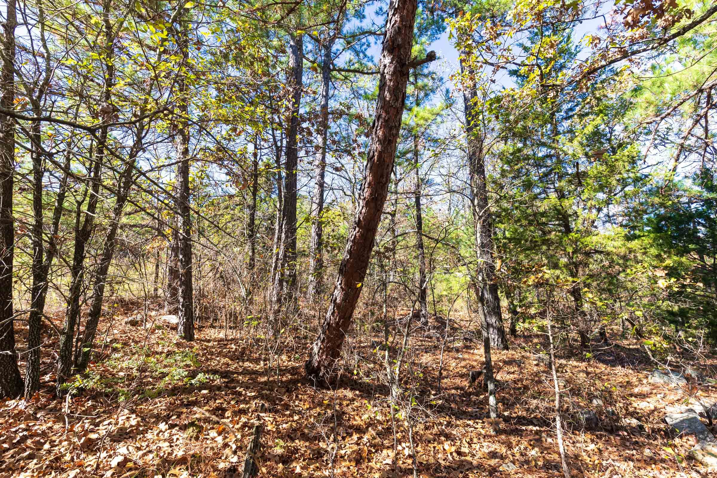 Stone Bridge Reserve Tract 18 photo 4